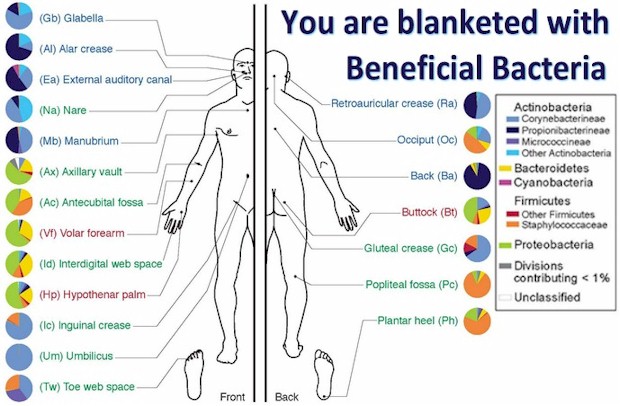 Your body blanketed by beneficial bacteria
