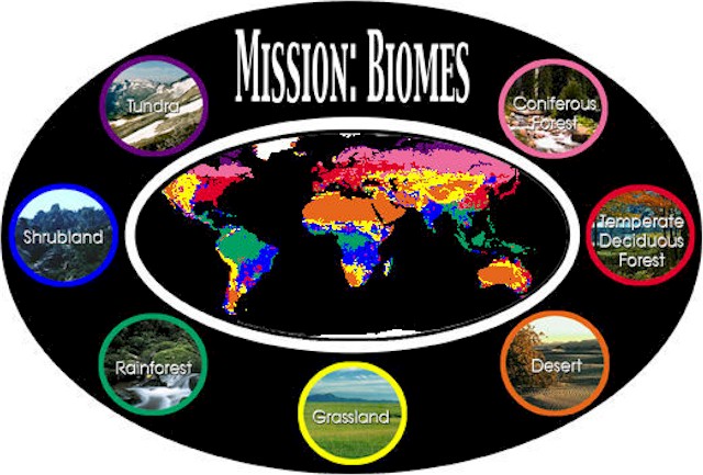 Image result for biomes