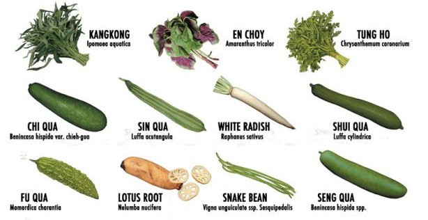 Biodiversity of Chinese vegetables