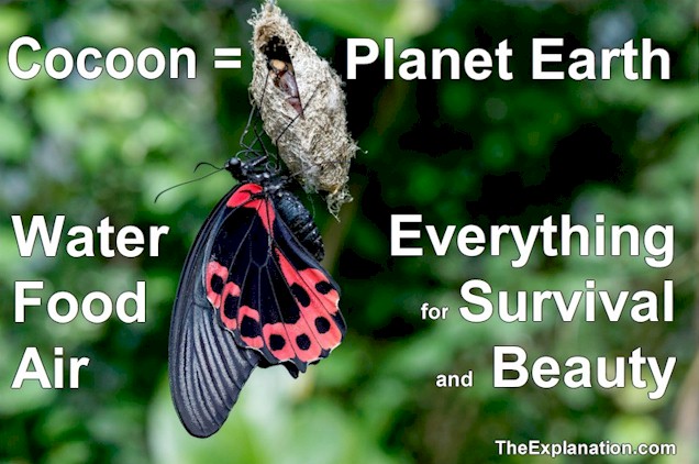 Planet water, planet earth, the cocoon with everything for survival and beauty.