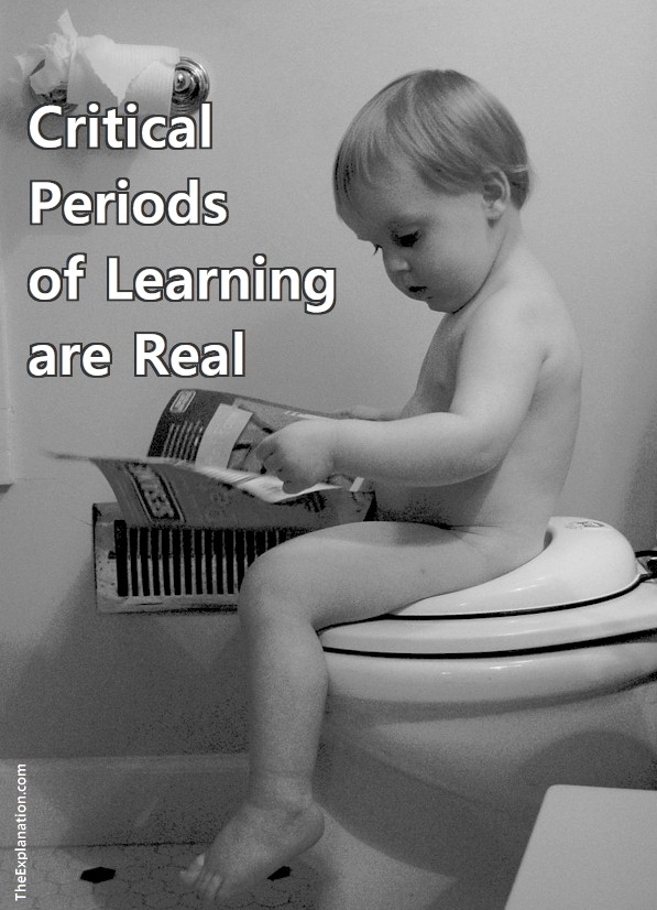 Critical periods of learning are real. There is a specific period in a child's life when learning certain disciplines comes easier.