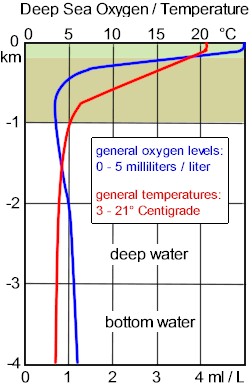 Deep Seat Oxygen and Temperature comparisons. Near the surface light penetrates the water promoting photosynthesis,and the production of oxygen.