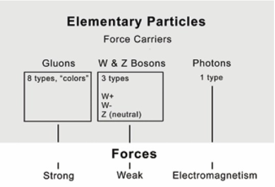 The Strong force, Weak force and Electromagnetic force are the three forces that ensure the stability of all physical substances.