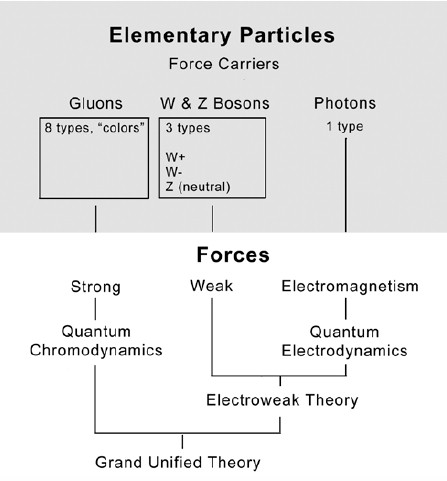 The elementary particles + the strong, weak and electromagnetic forces give rise to the Grand Unified Theory.
