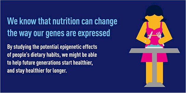 Epigenetics, the study of 'junk genes', has made science realize they actually regulate the genes themselves. They are at the origin of 'gene expression', turning genes 'on' and 'off.'