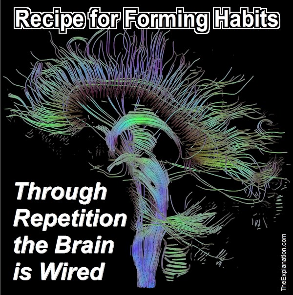 Your wired brain changes its connections constantly, but repeating the right things established good habits. The neurons that fire together, wire together.