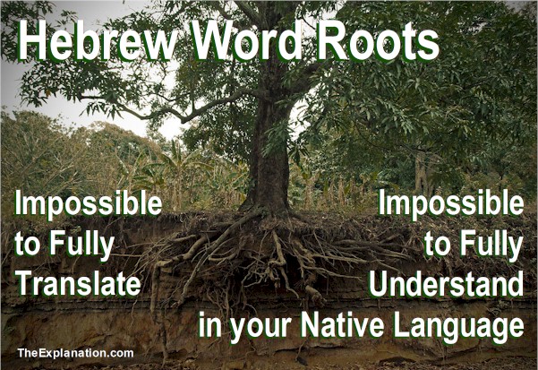 Biblical Hebrew roots are impossible to fully translate. Therefore it is impossible to fully understand the meaning in your native language.