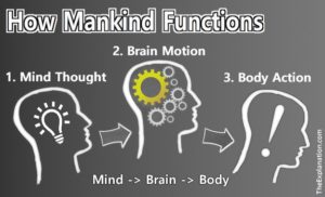 How Man Function: The mind has thoughts, the brain receives/transmits, and then the body acts.