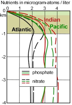Oceans and their phosphate and nitrate levels of nutrients in the different oceans