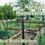 Agriculture on an individual level, homesteading. Practical Bible Wisdom.