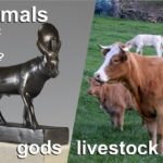 Animals as gods and livestock. What is their role on planet Earth and how should humans treat them?