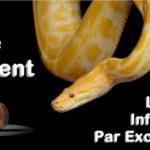 The Bible Serpent is a liar and influencer above all.