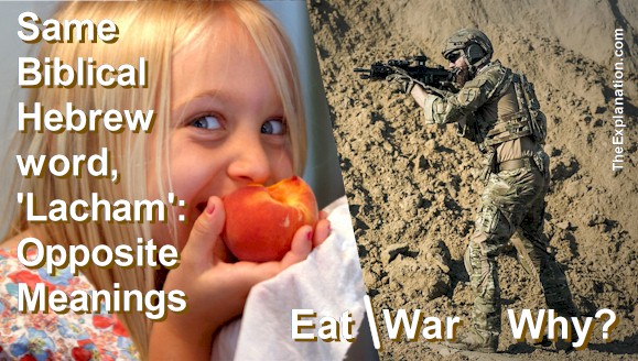 The same word in Biblical Hebrew, 'lacham' means both 'eat' and 'war'. How can the same word have opposite meanings?