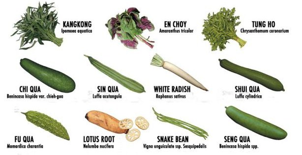 Chinese Root Vegetables Names