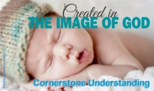Humans are created in the image of God. From a Bible point of view this is cornerstone understanding to grasp the rest of the Bible story.