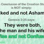 The conclusion of the Creation story is not only that they were naked and not ashamed. They were WISE and NOT CONFUSED