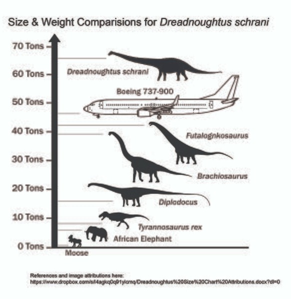 This dinosaur-animal chart shows sizes and weights. Even an elephant pales into insignificance. What about you and me?