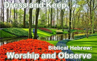 Dress and keep the Garden of Eden. In Biblical Hebrew, the verbs are worship and observe. That's what God told Adam.