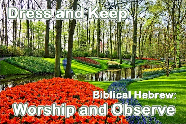 Dress and keep the Garden of Eden. In Biblical Hebrew, the verbs are worship and observe. That's what God told Adam.