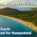 Dry land, grass, trees, seas. Day 3 of Creation and our Planet Earth is looking more and more like home for humankind.