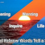 Evening and morning in Biblical Hebrew have much more meaning than just time-of-the-day. They tell a story of going from dark to inquiry culminating in day which is life. Quite a story.