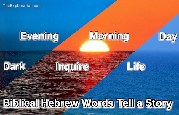 Evening and morning in Biblical Hebrew have much more meaning than just time-of-the-day. They tell a story of going from dark to inquiry culminating in day which is life. Quite a story.