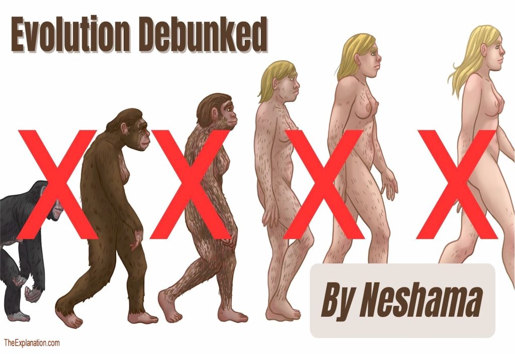Evolution debunked by neshama which only humans possess