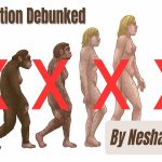 Evolution debunked by neshama