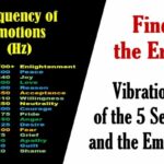 Emotional frequency of 5 Senses and emotions.