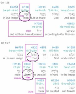The Biblical Hebrew word adam is singular denoting ALL humanity. The plural in Genesis 1.26-27 denotes the two genders, male and female.