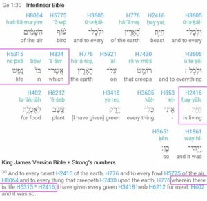 Nefesh chaya in the interlinear and KJV Bible. Reveals the faulty translation of this term.