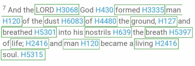 Word-for-word Bible translation of Genesis 2:7 as seen in Strong's Concordance.