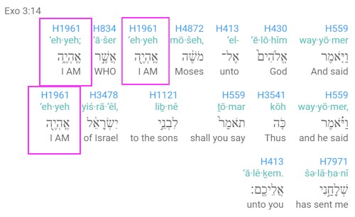 Genesis 3:14, Elohim identifies Himself as I AM. In biblical Hebrew this is EHYE, aleph, hey, yod, hey.