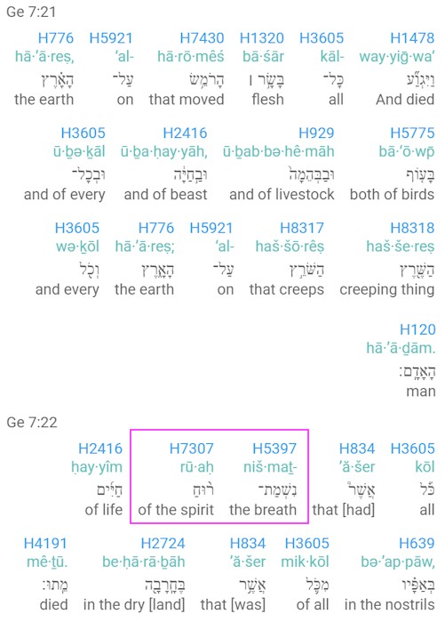 Genesis 7.21-22 Notice the two Biblical Hebrew words nishmat ruach (breath of the spirit). You don't see this in most English translations.