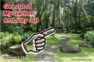 Get out of My Garden, God told Adam and Eve, and don't come back, until...