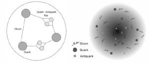 gluons quarks antiquarks