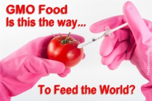 GMO Food. Is this the way want to feed the world? Is love of the land and agriculture only about feeding stomachs? Isn't there much more to it than that?
