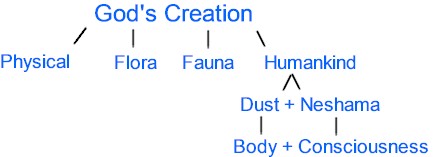 God's Creation composed of physical, flora, fauna, humankind, dust, neshama, body, consciousness