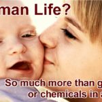 Human Life? So much more than genes or chemicals in a cell. What is it ... really?