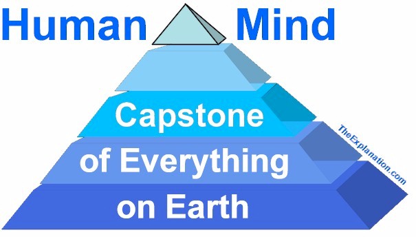 The Human mind, whatever, you consider it to be, is the capstone of everything on Earth.