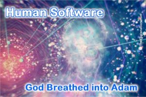 Human software, God breathed neshama into Adam's nostrils. This transformed dust into a human being.