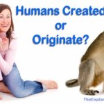 Were humans created or did humans originate from lower forms of life? Let's answer that.