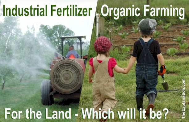 The Land: Industrial Fertilizer or Organic Farming and Rare Earth Metals