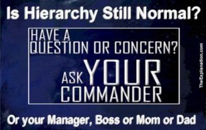 is hierarchy normal ask your commander manager mom or dad