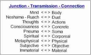 Junction and transmission of information between the mind and the body.