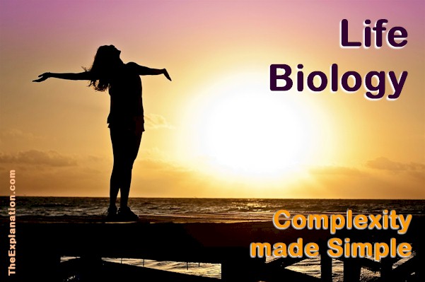 Life Biology. From Rocks to Cells, Sublime Simple Complexity