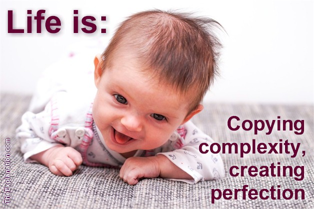 Life is copying complex DNA and proteins, creating perfection ... a baby.