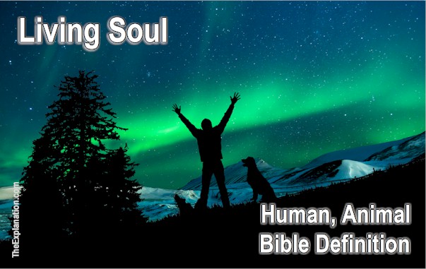 Living Soul. Genesis 2:7. Bible definition for humans and animals.