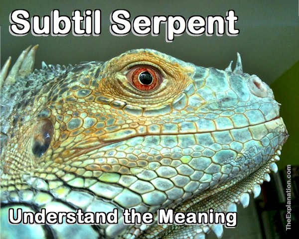 The Meaning of the Subtil Serpent is a Key to Understanding God’s Plan