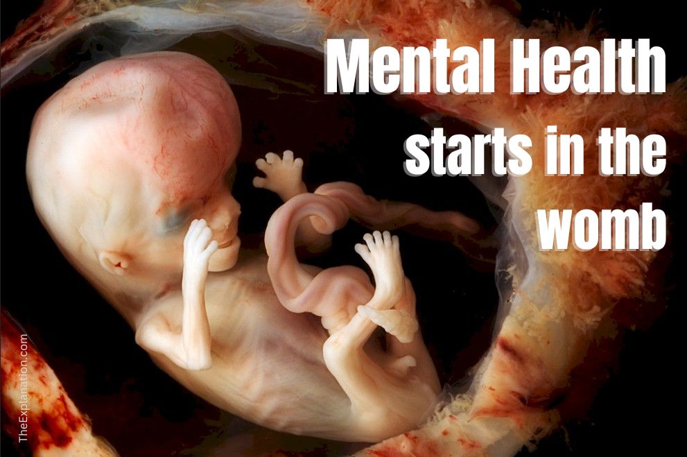 Powerful Influences. Mental Health Starts in the Womb
